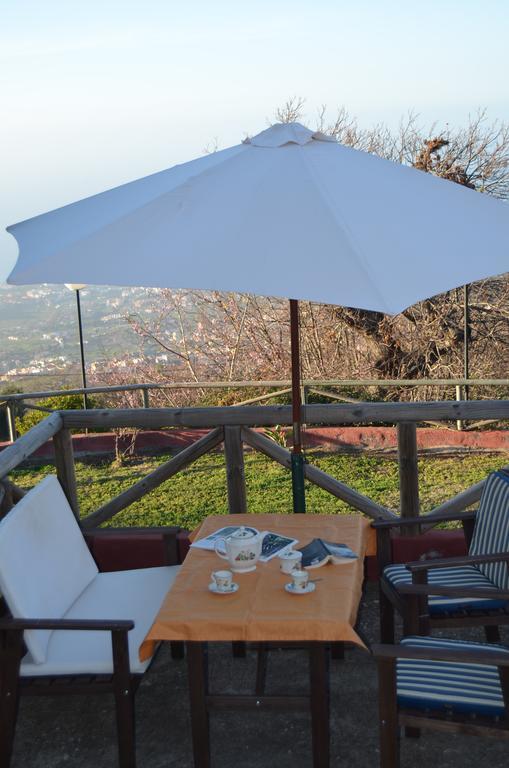La Orotava-Casa Rural Los Nardos Montijos Dış mekan fotoğraf